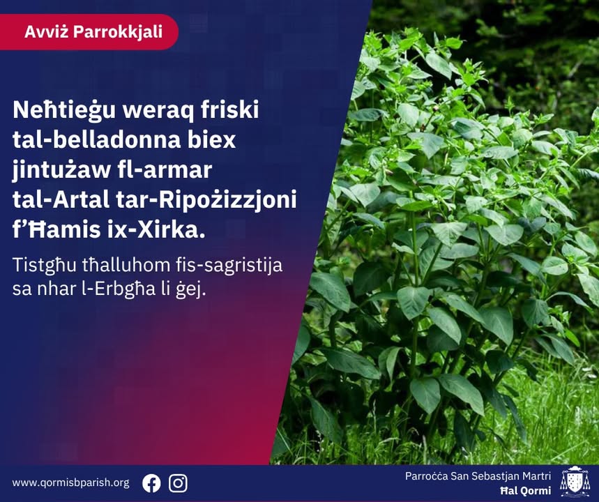 Parroċċa San Sebastjan - St Sebastian Parish - Qormi